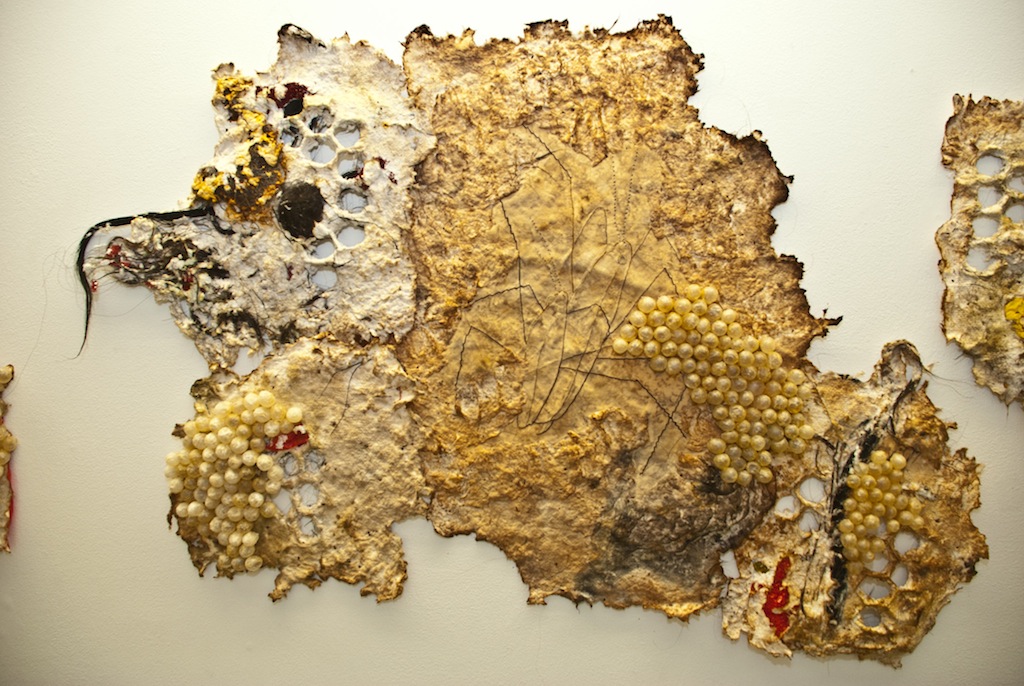 Gerridae, embroidery on handmade paper and fabric with pig intestine, horse and human hair and other materials, variable dimensions, 2010, photo: Nancy Arnold