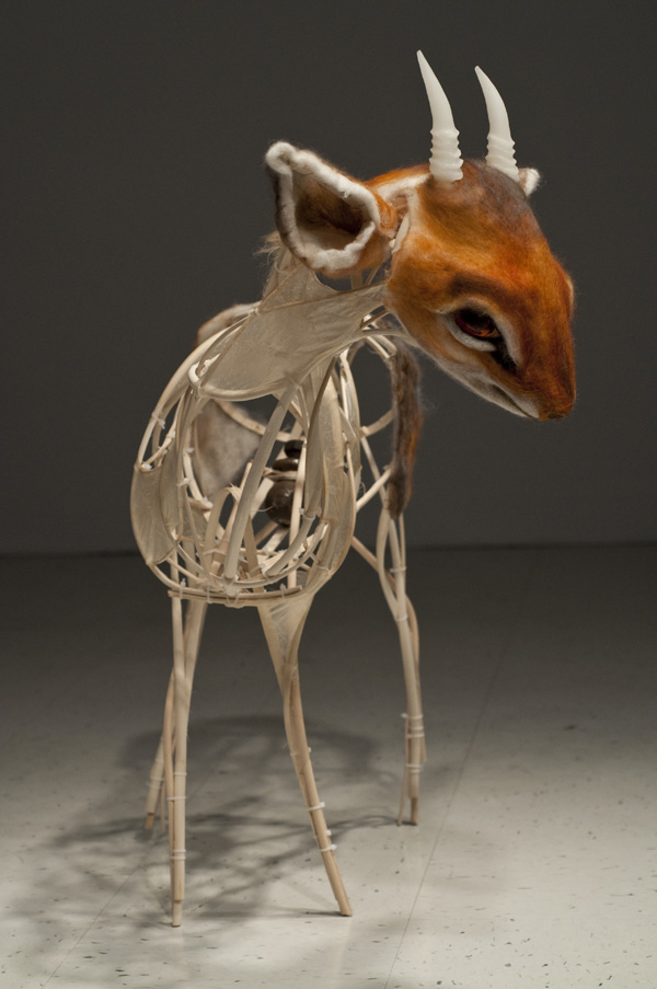 Detail: dikdik / ghost dikdik, 2010, dimentions variable, materials: hog gut, reed, zip ties, resin, wax, wool, branches, found glass, found metal, technique: casting, felting