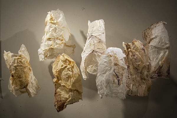 I'm Writing This Letter


to You, Mom
and you'll notice
I've included
our latest
family portrait.


I hope you can see
how we're all starting
to resemble you:


fragile, but not
easily broken.

2011, ~60 H x 90 W x 30 D cm (size variable depending on installation), stiffened tissues, wax, oil pastels. Technique: fiber stiffening, encaustics, photo: Megan Bostic