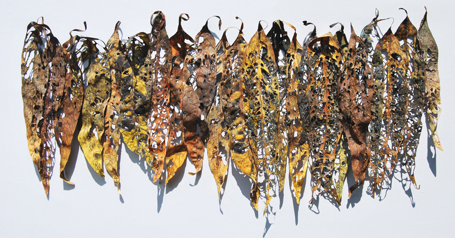 Leaf Fall, Fragments, var. 3, Ink jet printed, embellished, stitched, cut, shaped, assembled, 2010, 55 x 30