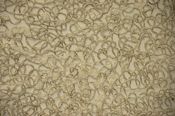 Detail: Traces, silk free-motion embroidery on gampi tissue, with selective burning, 112 cm x 112 cm framed, 2010. Photo: Noelle Hamlyn.