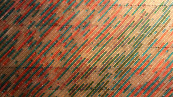 Tectonic Shift, 40in X 36in X 1/8in, polyethylene tubing, fishing line, coloured water, loom weave