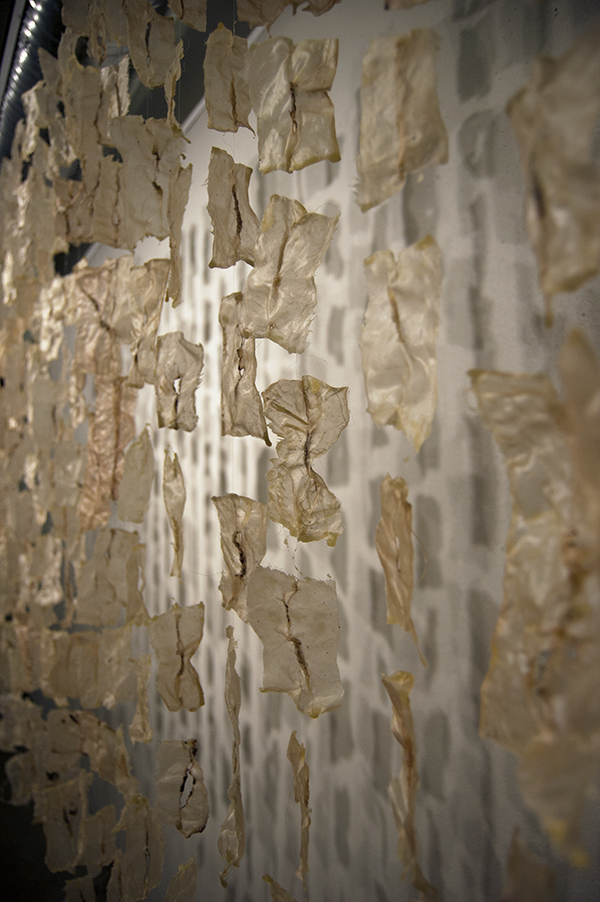 Detail: The First Year of Grief piece, 2011 ~180' H x 365' W x 1 D cm (size variable depending on installation) materials: silk organza, wax, waxed linen thread, powdered drink mix, tea techniques: encaustics, hand-stitching photo: Megan Bostic