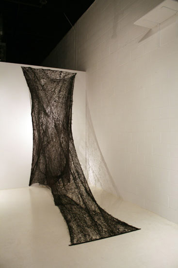 Shroud, World of Threads Festival 2009, Common Thread International Part 3, B42 Gallery, Amy Bagshaw