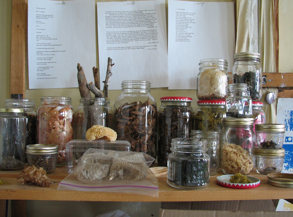 Some of Heather's materials, 2012, photo: Heather Komus