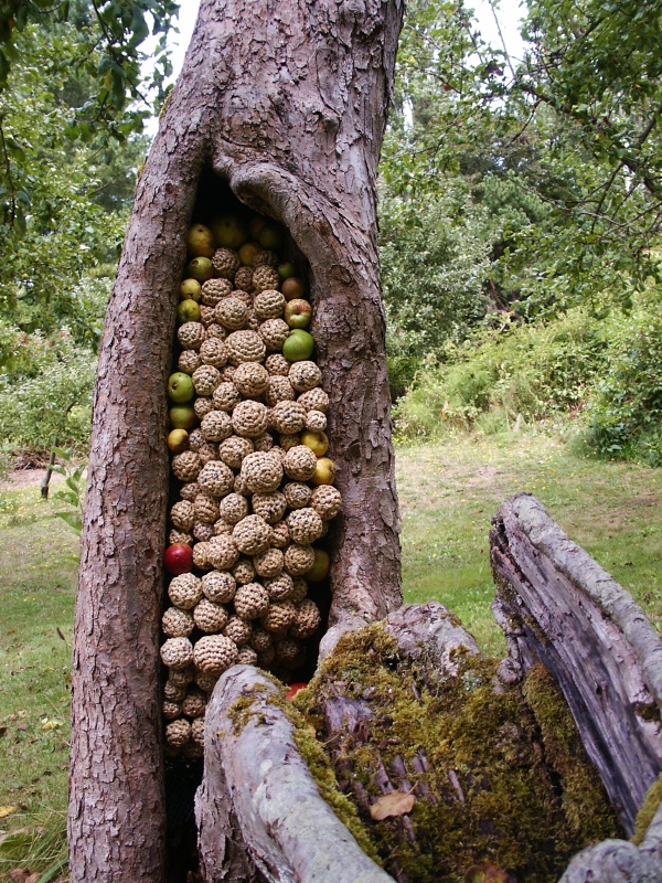 Fungo Plastica, crocheted plastic bags & tree, installation: Carkeek Park, CoCA Seattle, WA, photo: Barbara De Pirro