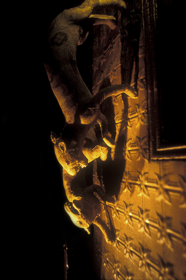 Tenement Museum, New York. Private Collection. Photo: Catherine Heard.