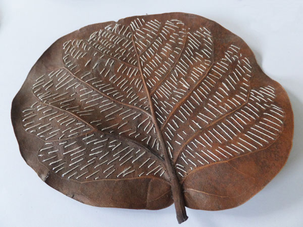 Stitched leaf, hand stitched sea grape leaf (coccoloba uvifera), silk/cotton thread, 2014, 5" x 4" Photo: Christine Mauersberger