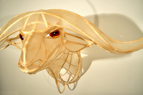 Cape Buffalo, shown at Paxton Gate Gallery, San Francisco, as part of words once spoken (solo show), 2010, 50" x 28" x 36", materials: hog gut, reed, zip ties, resin