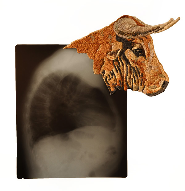 Avatar #2, Minotaur, 17 x 19 1/2 ", 2011, Hand-embroidered x-ray.