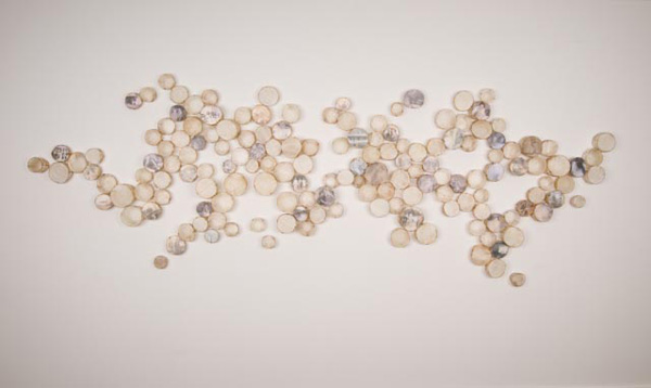 "Cells", Gut, wire, photos on paper, 144" x 48" x 4" (depth), 2012.