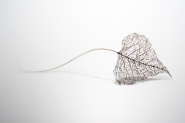Leaf Series, human hair, 2011 (Photo: Robert Diamante)