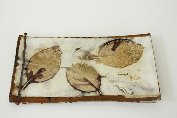 Dogwood Book, 2011, 5" x 10", 12 pages, eco printed paper and silk, inkjet printed vellum and recycled paper, bound with dogwood stick, photo: Lotta Helleberg