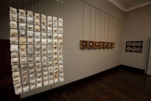 Gallery view of my undergraduate show, Internal Bleeding, May 2010, photo: Cliff Hollis