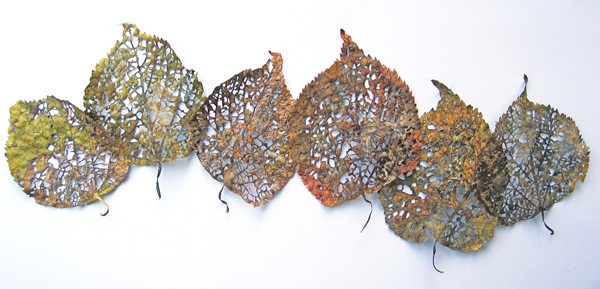 Linden Leaf Rag, Ink jet printed, stitched, dyed, painted, fused, shaped, cut, 2010, 72 x 28