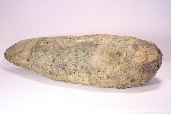 POD (Lichen), wool, beeswax, lichen, thread, recycled fill, 2013, 9" x 34" x 10", hand-felted, stitched, encaustic. Photo: Merce Mitchell