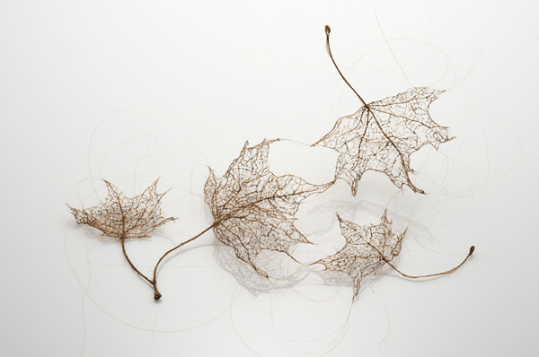 Leaf Series, human hair, 2011 (Photo: Robert Diamante)