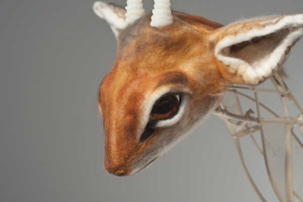 Detail: dikdik / ghost dikdik, 2010, dimentions variable, materials: hog gut, reed, zip ties, resin, wax, wool, branches, found glass, found metal, technique: casting, felting