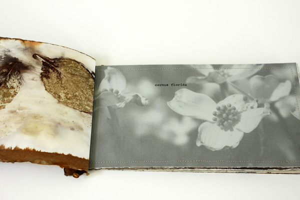 Dogwood Book, detail, photo: Lotta Helleberg