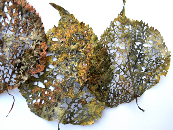 Detail: Linden Leaf Rag, Ink jet printed, stitched, dyed, painted, fused, shaped, cut, 2010, 72 x 28