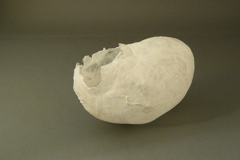 Understanding, silk, konnyaku, 12(h) x 19(w) x 12(d) cm, silk fusion, photo credit: Jan Taylor