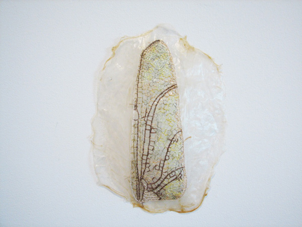 Probe (work in progress), embroidery on pig intestine, 8" x 13", 2011, photo: Heather Komus