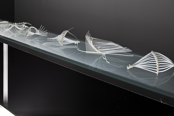 Constructions, 2011, Zip-Ties, glass, painted steel and neon, Right segment, Michel Dubreuil photo credi