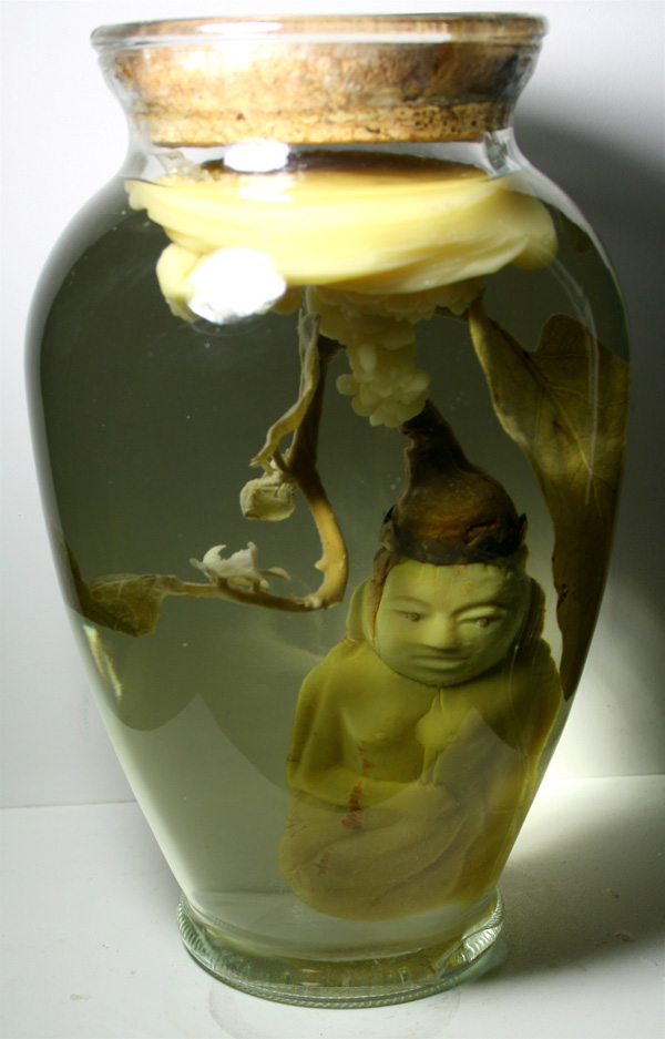 Product of Eden, 2007, eggplant, brass, brine, beeswax, glass jar, 6 x 6 x11"