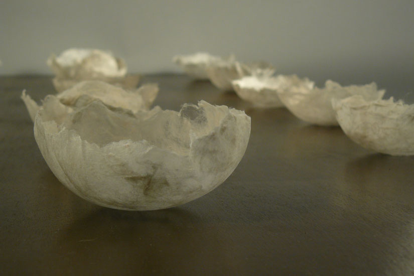 Detail: Roses, silk, konnyaku, wood, paint, 6(h) x 117(w) x 61(d) cm, silk fusion, photo credit: Jan Taylor