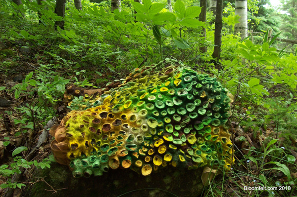 Green Craters, 2009, 120x120, Marjolein Dallinga, wool felted with organza.  interview-header