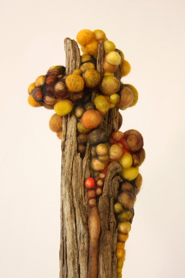 Marrow (detail) – 8 x 22 x 6 in., wool and found driftwood; needlefelting. Photo by artist