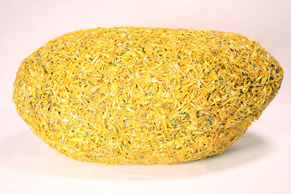 POD (Marigold), wool, beeswax, marigold petals, thread, recycled fill, 2014, 7" x 16" x 8", hand-felted, stitched, encaustic. Photo: Merce Mitchell