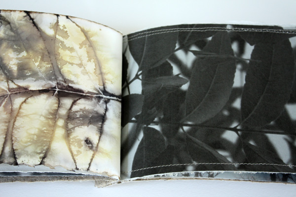 Pecan Book, detail, photo: Lotta Helleberg
