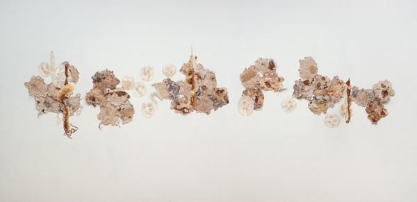 Muddy Waters, embroidery on handmade paper and dried squid with pig intestine, horse hair and other materials, variable dimensions, 2011, photo: William Eakin