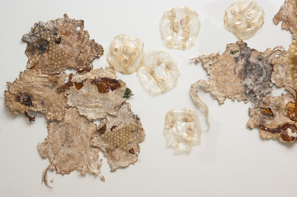 Muddy Waters (detail), embroidery on handmade paper and dried squid with pig intestine, horse hair and other materials, variable dimensions, 2011, photo: William Eakin