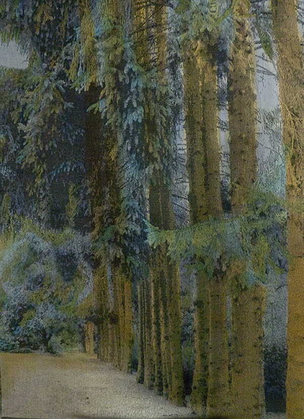 Les gardiens du parc, 2011, Jacquard weaving. From a photograph shot in Vancouver Cotton, linen, dyes --- 140x108 cm, Private collection.