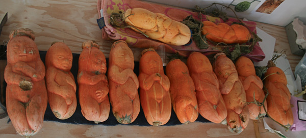 Product of Eden, 2010, baby harvest