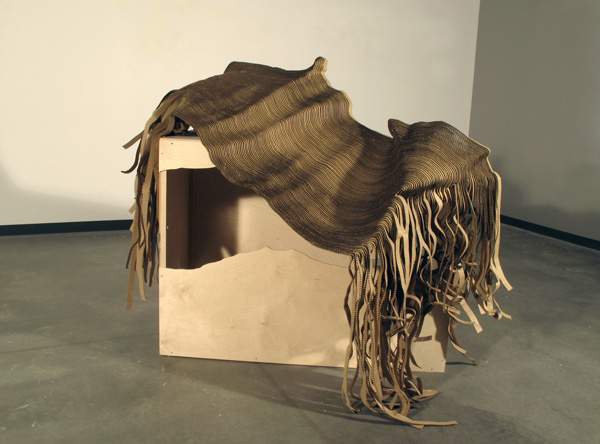 Extensions topographiques, 2009, Russian plywood and single face cardboard, 48 x 57 x 53 inches, Elisabeth Picard photo credit