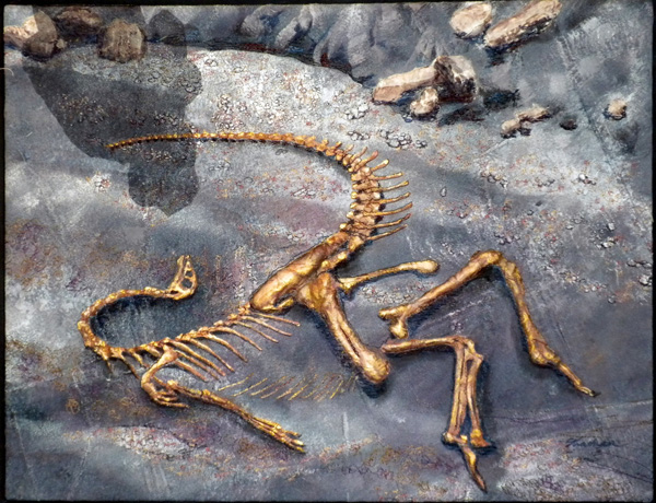 Final Exposure, 26" x 20" framed, paper and silk collage, stuffed, on repaired and painted denim, black tulle, machine-stitched.