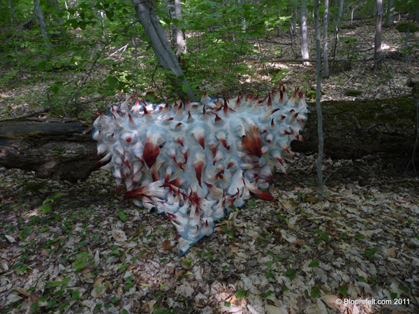 Skin 3, 2011, 220x200, Marjolein Dallinga, wool felted hand dyed