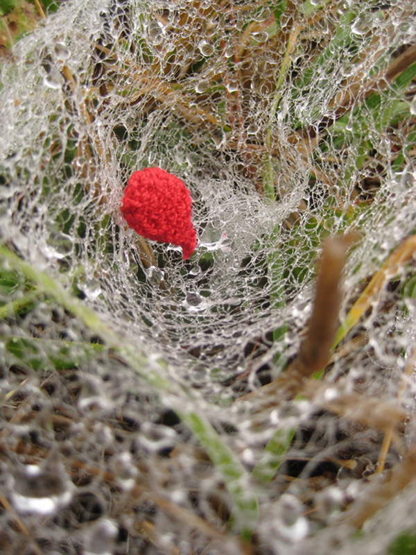 Catch, monofilament, crochet, 8.5"(w) x 8"(h) x 8.5" (d), photo: Xia Gao