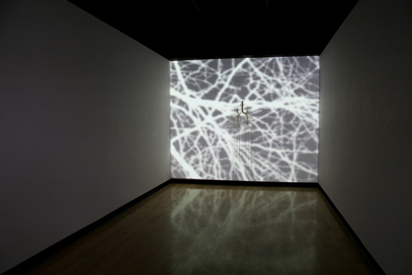 Breath(e), Installation with video, sound and handmade object, 2005 (Photo: Kurt Simonson)
