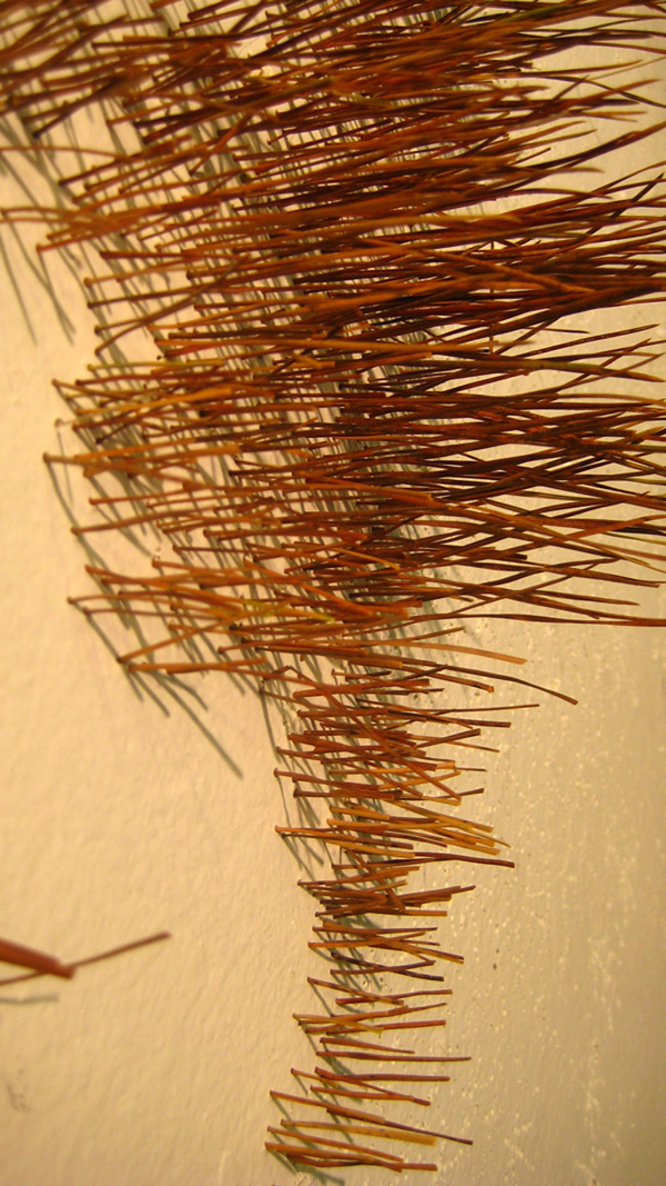 Lost in Wood on site installation (unfinished), pine needle, room scale, photo: Xia Gao