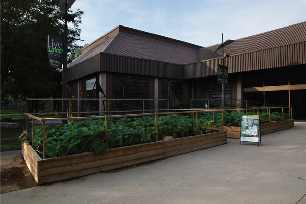 Product of Eden, 2010, baby garden in fromt of the kitchener Waterloo Art Gallery, 2010
