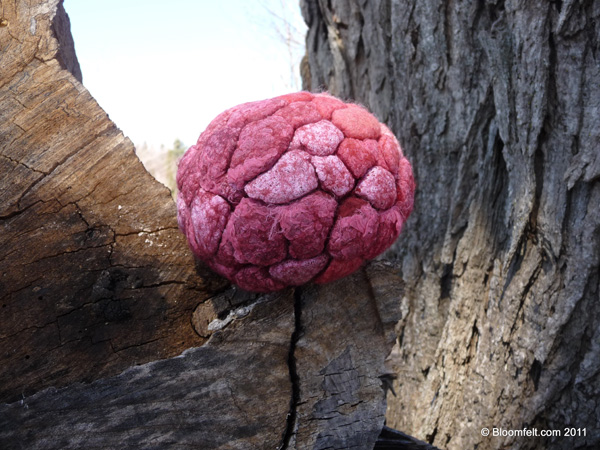 Heart, 2011, 10x12, Marjolein Dallinger, woolfelted