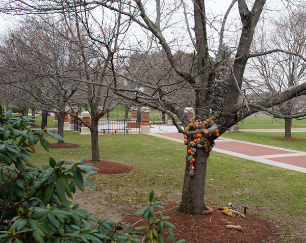 Mushroomed back. – approx.. 60 x 42 x 96 in., nylon, fiberfill, wool, paint, wire; felted soft sculpture. Photos by artist