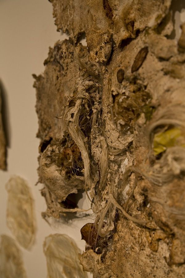 Muddy Waters (detail), handmade paper with pig intestine, dried squid, horse hair and other materials, variable dimensions, 2011, photo: Kevin Bertram