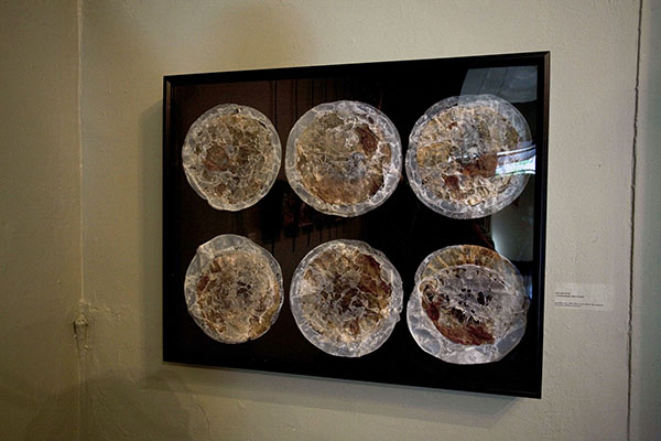 This Shit Hurts: A Microscopic View of Pain, 2010 60 H x 92 W x 5 D cm materials: used coffee filters, coffee, organza, wax, cotton thread technique: hand-embroidery photo: Cliff Holli