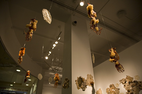 Muddy Waters (detail), embroidery on handmade paper and dried squid with pig intestine, horse hair and other materials, variable dimensions, 2011, photo: Kevin Bertram