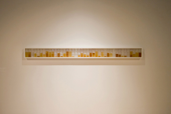 Untitled, resin and honey, 8’ x 4” x 6”, 2006 (Photo Credit: Kurt Simonson)